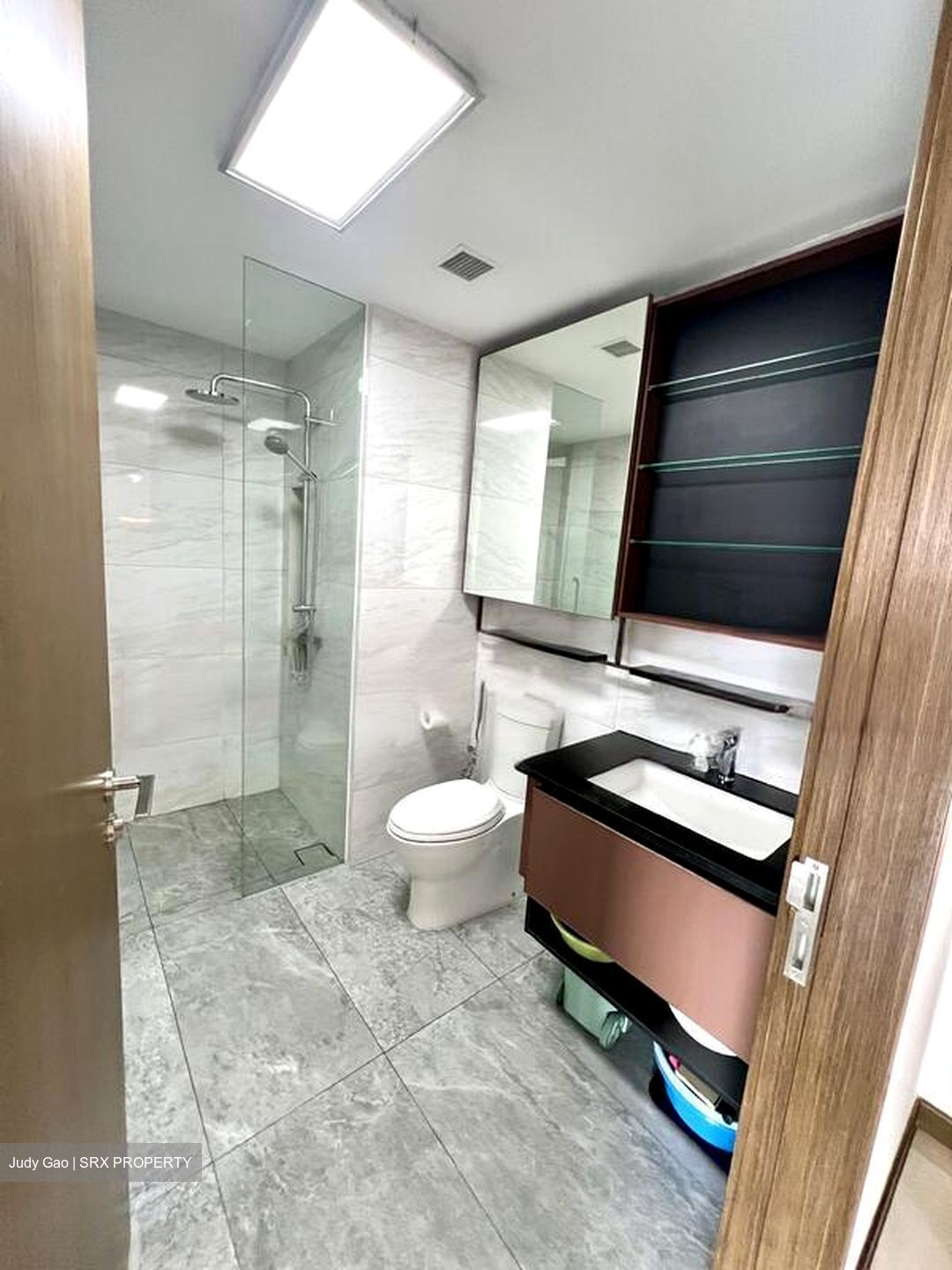 Normanton Park (D5), Apartment #480343351